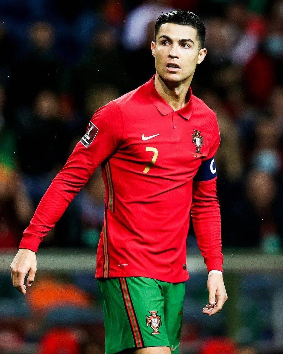 由此树起非 由此树起非