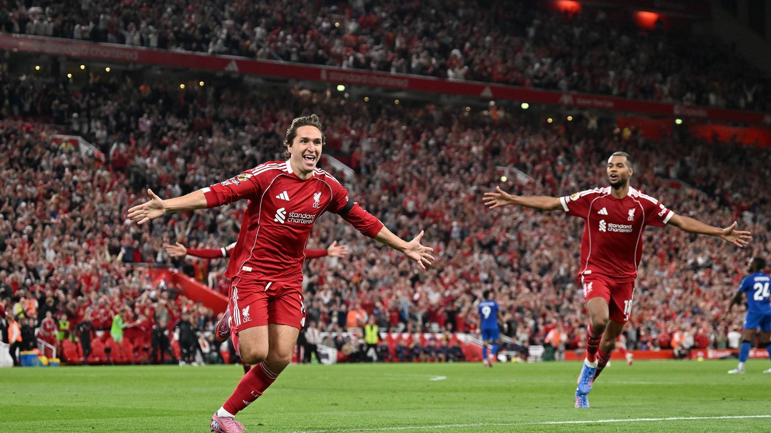 是他们胜利 是他们胜利